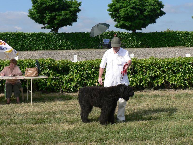 Guillaume-Agen-2009_16.JPG
