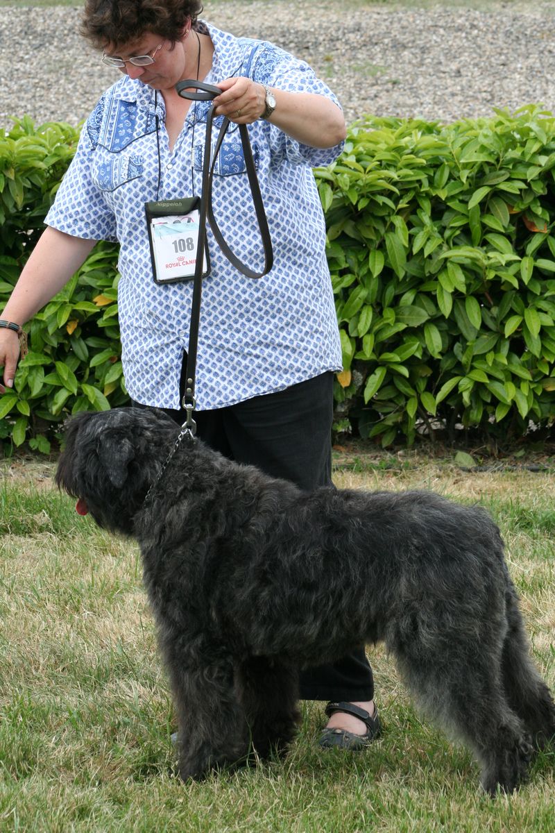 Phil-Guillaume-Agen-2009_70.jpg