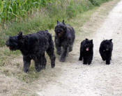 UROS en famille