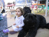bouvier des flandres et enfant